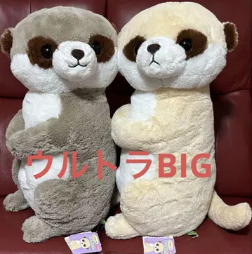 이쪽 봐 미아짱 울트라 BIG 봉제 인형 전 2종 세트