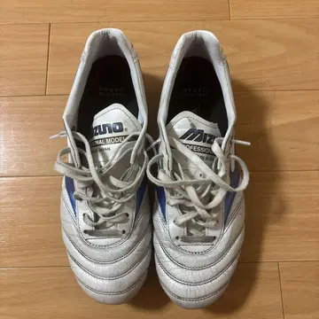 모렐리아 2 재팬