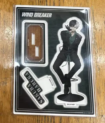 WIND BREAKER 로프트 아크릴 스탠드 사쿠라 하루카이치 하이체어