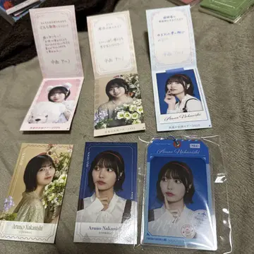 NOGI 메쿠리 나카니시 아루노 세트