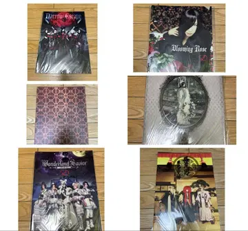 D ASAGI 팜플렛 V계 비주얼계 세트