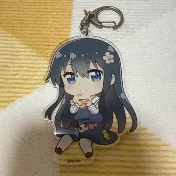 나에게 천사가 내려왔다! 푸니코레! 시로사키 하나 아크릴 키링 와타텐