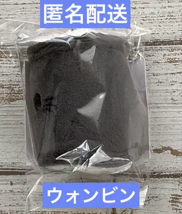 RIIZE 원빈 봉제 인형 키링 라이즈시