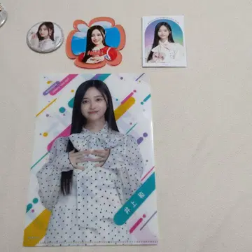 이노우에 와카나 포토 카드 클리어 파일 스티커 세트