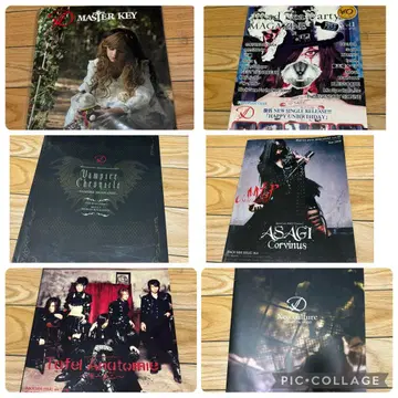 D ASAGI 팜플렛 V계 비주얼계 세트