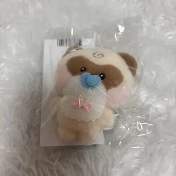 제베원 장하오 하니니 봉제 인형 아기