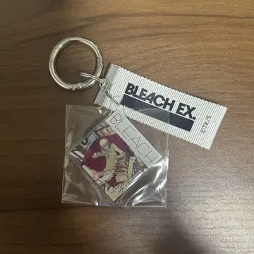 BLEACH 히라코 신지 오리지널 레코드 키체인