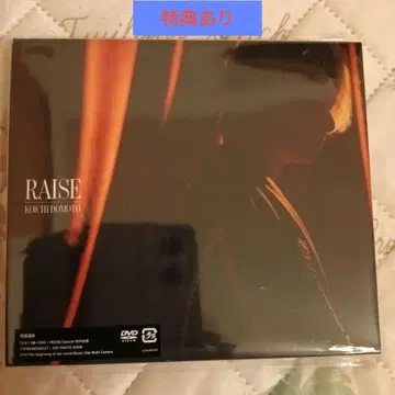 RAISE KOICHI DOMOTO 도모토 코이치 CD 초회 한정판 B