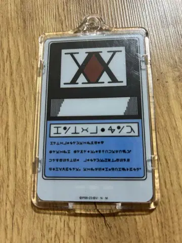 헌터헌터 패스 케이스