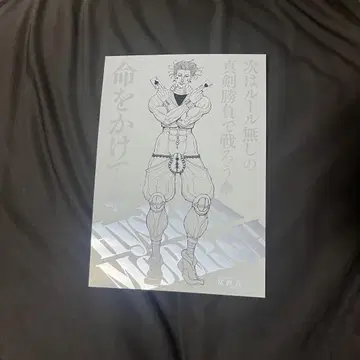 신규 일러스트 키 비주얼 A4 포스터 컬렉션 히소카=모로우
