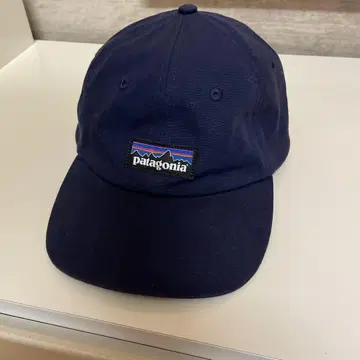 patagonia 네이비 캡 스트랩백