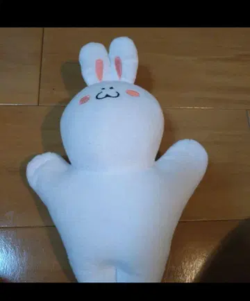 와타나베 마유 무치치 봉제 인형 12일간 한정 가격
