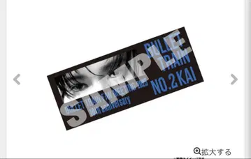 BULLET TRAIN FAN MEETING 2025 타월 카이