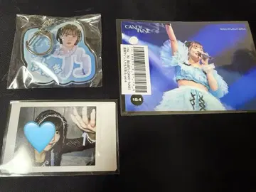 CANDY TUNE 후쿠야마 리노
