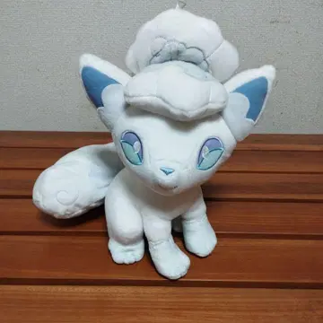 식스테일(알로라의 모습) 포켓몬 포커스 지방별 모습