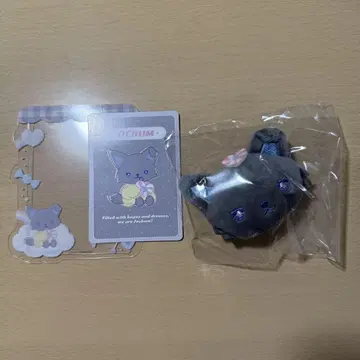 JOCHUM 캔디 시리즈 경질 케이스 브로치 피하이