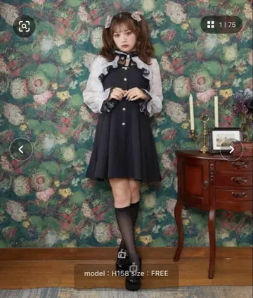 ROJITA 꽃무늬 시어 슬리브 플레어 원피스
