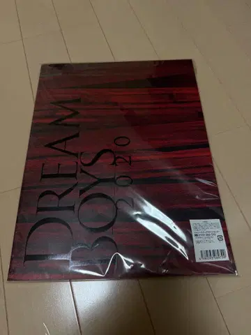 DREAM BOYS 2020 팜플렛 미개봉