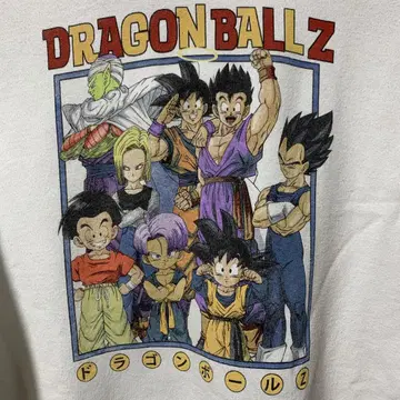 드래곤볼 Z 후드티
