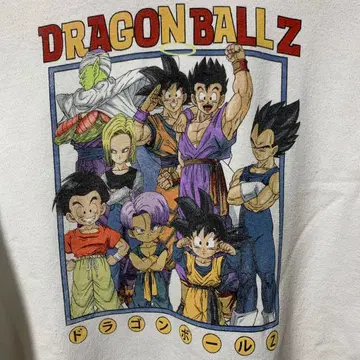 드래곤볼 Z 후드티