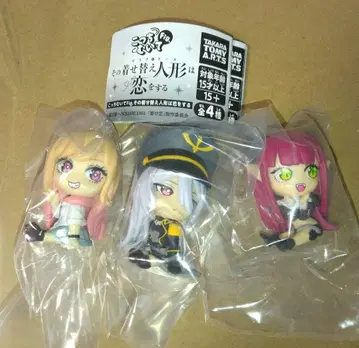 3개 세트 그 비스크 돌은 사랑을 한다 코치 무이테 FIg