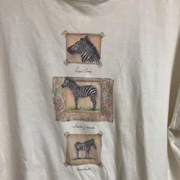 90s banana republic 바나나리퍼블릭 T셔츠 USA제