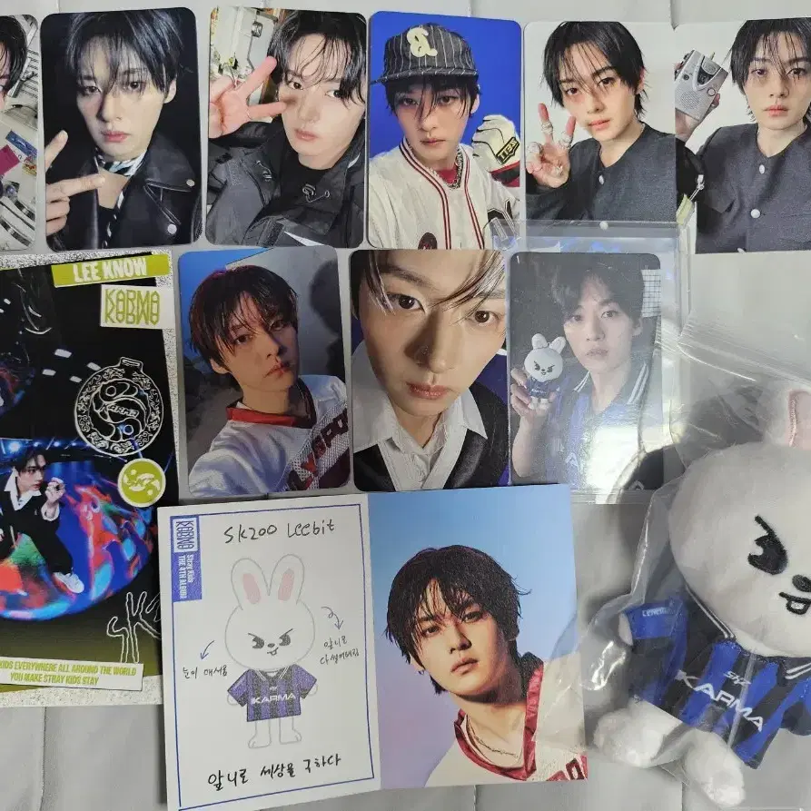 Ski Zoo Version (Lee Know, Leebit) Karma Photocard on