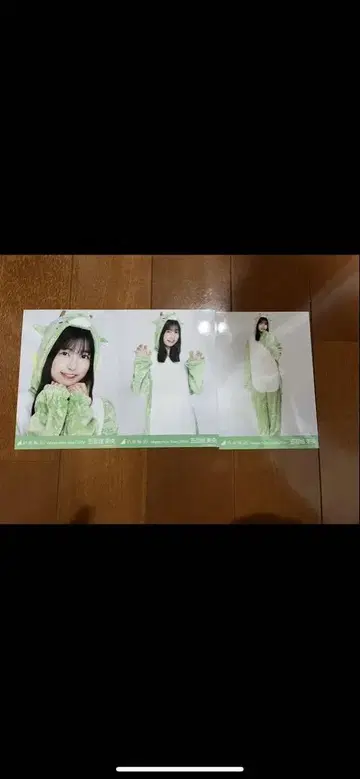 이오키 마오 브로마이드 컴프 십이지신 용