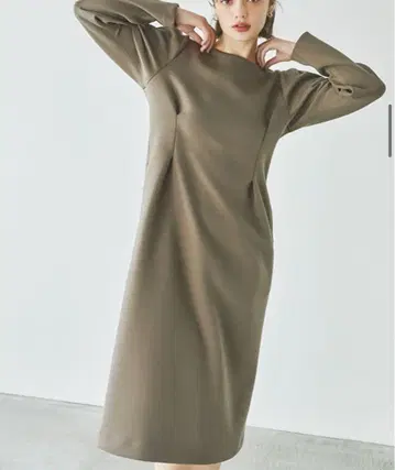 intimite Ponch Waist Tuck Dress