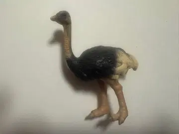 슐라이히 타조