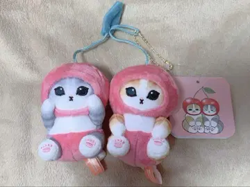 체리 갓 수확한 냥 마스코트 mofusand 모후모후 마르쉐