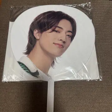 treasure 하루토 부채