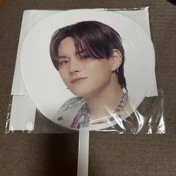 treasure 요시 부채