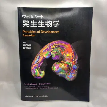 월퍼트 발생생물학