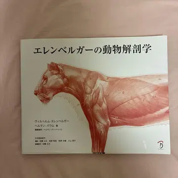 엘렌베르거의 동물 해부학