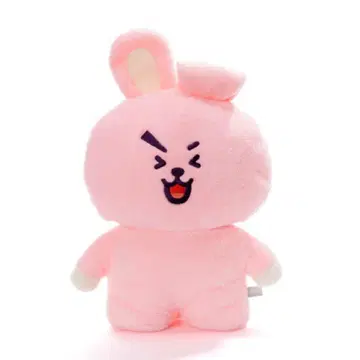 미사용 새상품 BTS bt21 COOKY