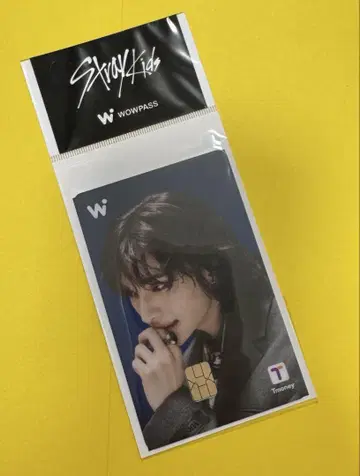 스키즈 현진 WOWPASS