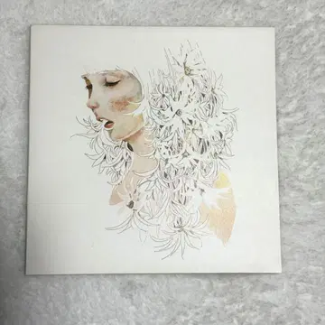 요네즈켄시 산타마리아 리미티드 패키지반