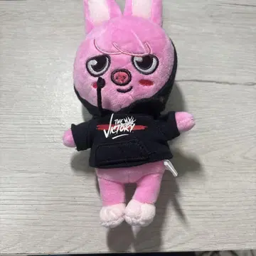 돼끼 창빈 인형