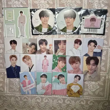 SEVENTEEN 세븐틴 디노 아크릴 스탠드 캔뱃지 트레이딩 카드 클립