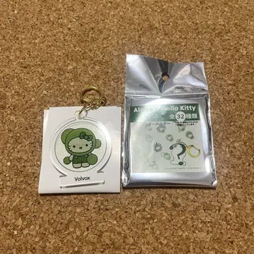 [ Volvox ] Algae x HelloKitty 아크릴 키링