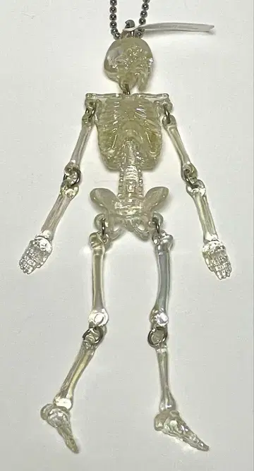 사이언스 테크니컬러 흔들흔들 해골 마스코트 전신 골격 클리어 컬러