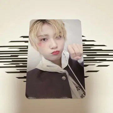 AHOF 트레이딩 카드 다이스케