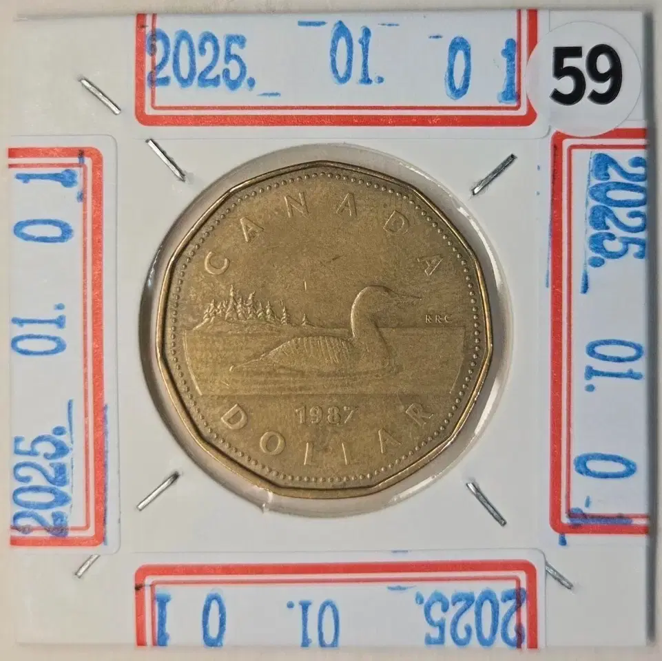 Z1070G 희귀 안압에러 캐나다 1987년 황동 1달러 동전 | 브랜드 중고거래 플랫폼, 번개장터