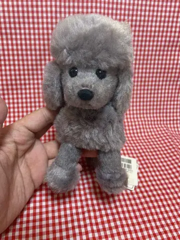 토이 푸들 봉제 인형
