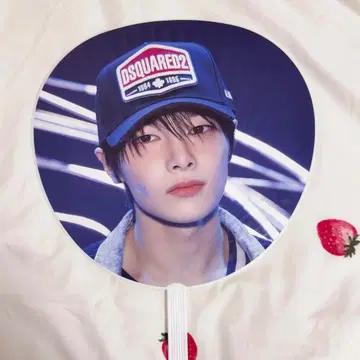 straykids dominate 아이엔 부채