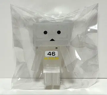 원페스 한정 컬러 단보 클리어 컬러