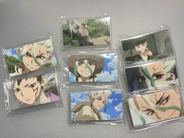 Dr.STONE 아크릴 배지 센쿠 겐
