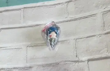 가정교사 히트맨 REBORN! 로쿠도 무쿠로 캐릭터 메이트