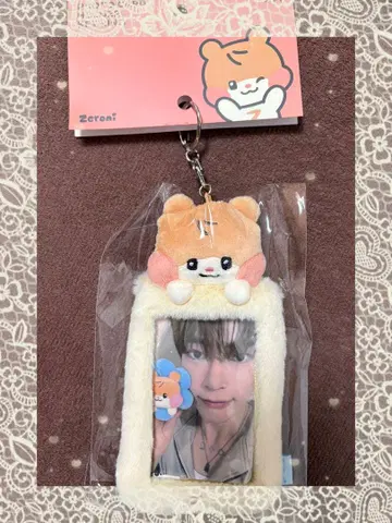 비니니 트레이딩 카드 케이스 zeroni zb1 popup 한빈